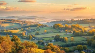 high weald national landscape