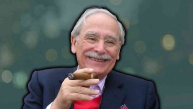 irwin stelzer