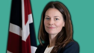baroness gustafsson