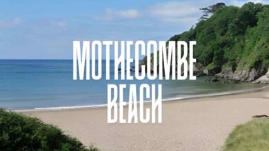 mothecombe beach