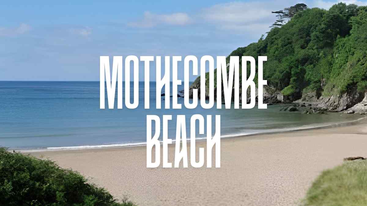 mothecombe beach