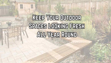 Keep Your Outdoor Spaces Looking Fresh All Year Round