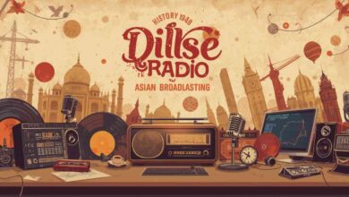 dilse radio