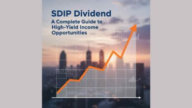 sdip dividend