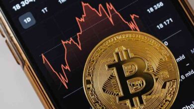 Rineplex.com Review Unlocking Your Full Potential of Online Trading