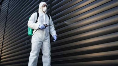 How Much Does Pest Control Cost