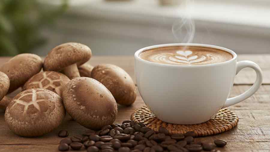 The Best Mushroom Coffee