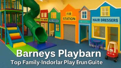barneys playbarn