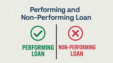 performing and non performing loan