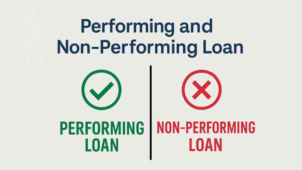 performing and non performing loan