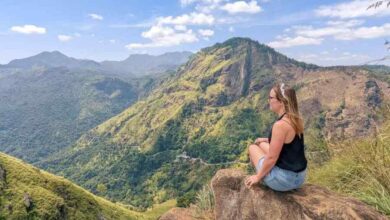 Luxury Nature Tours in Sri Lanka What to Expect