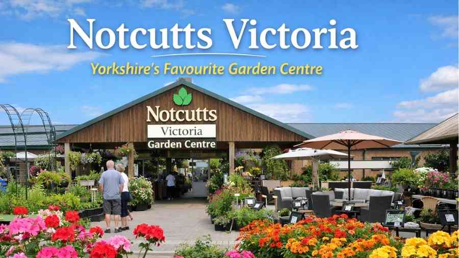 notcutts victoria