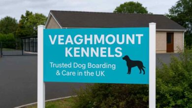 veaghmount kennels