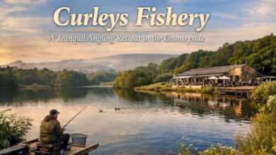 curleys fishery