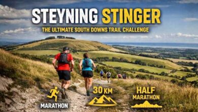 steyning stinger