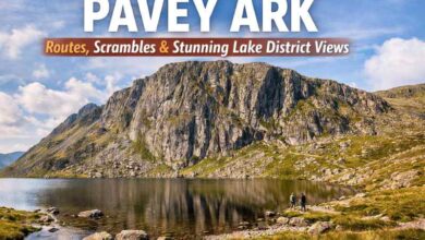 pavey ark