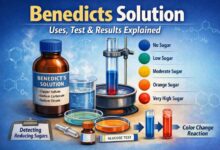 Benedicts Solution