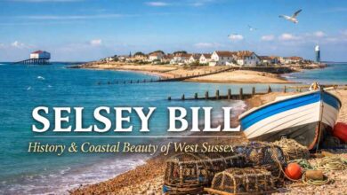 Selsey Bill