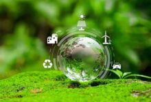The Hidden Environmental Cost of Office Printing