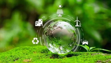 The Hidden Environmental Cost of Office Printing