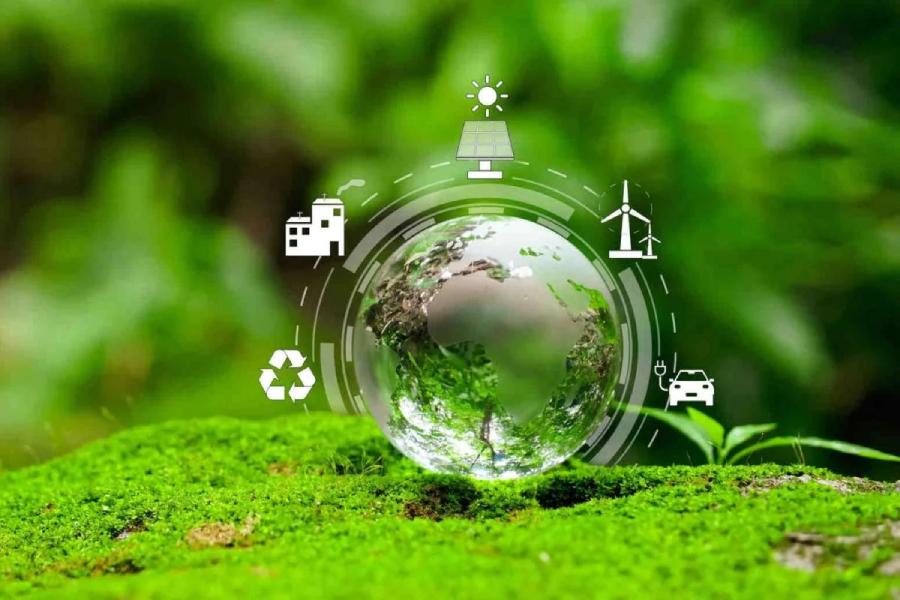 The Hidden Environmental Cost of Office Printing